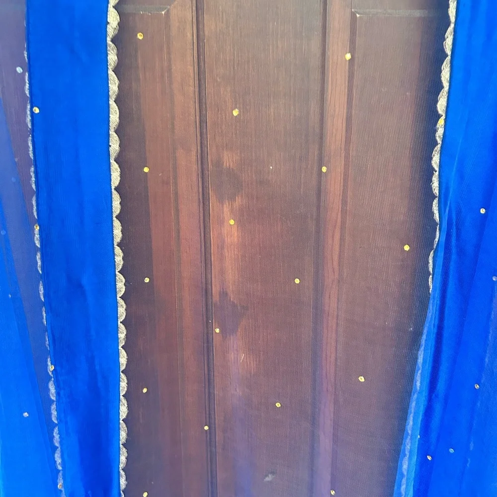 Royal Blue Net Dupatta with Gold Lace Border - Picture 3 of 10